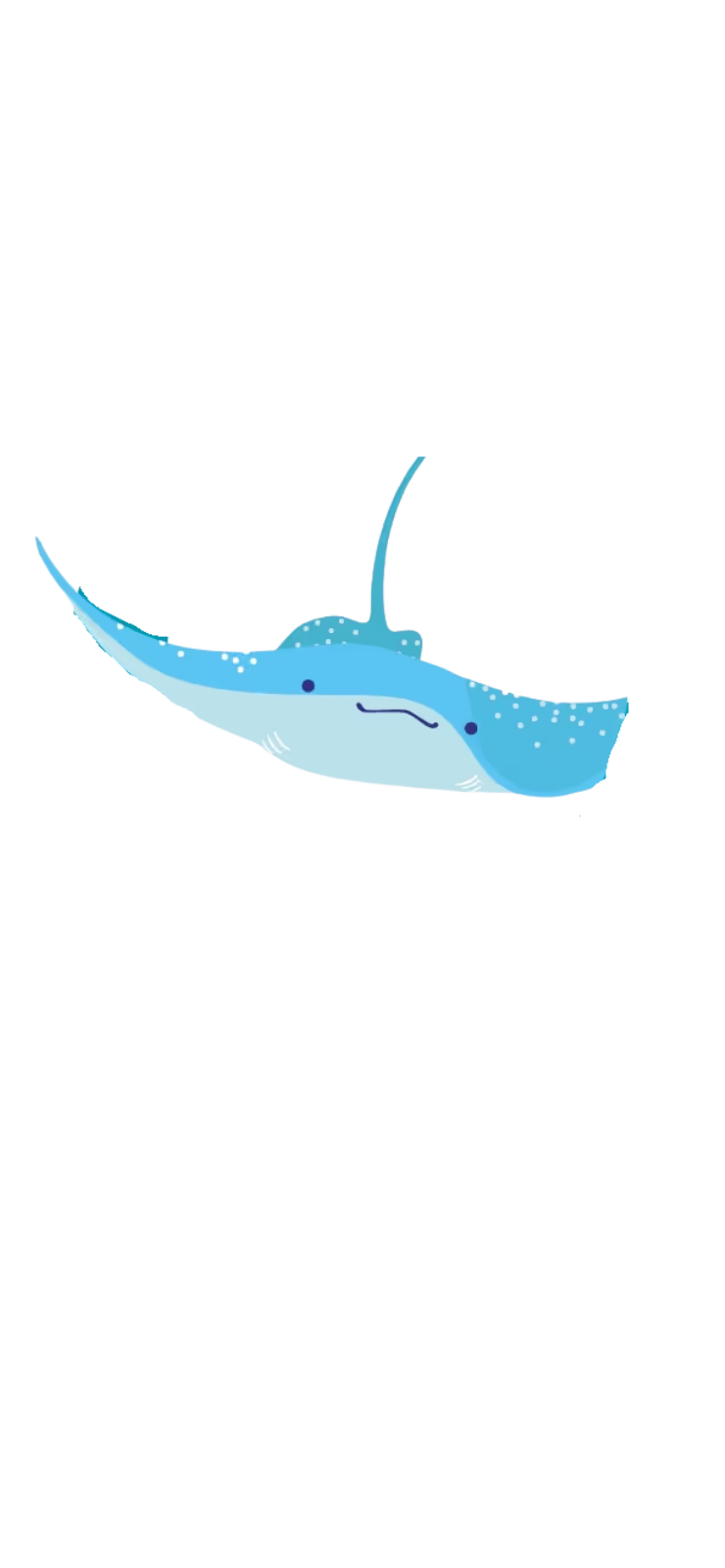 Stage 5